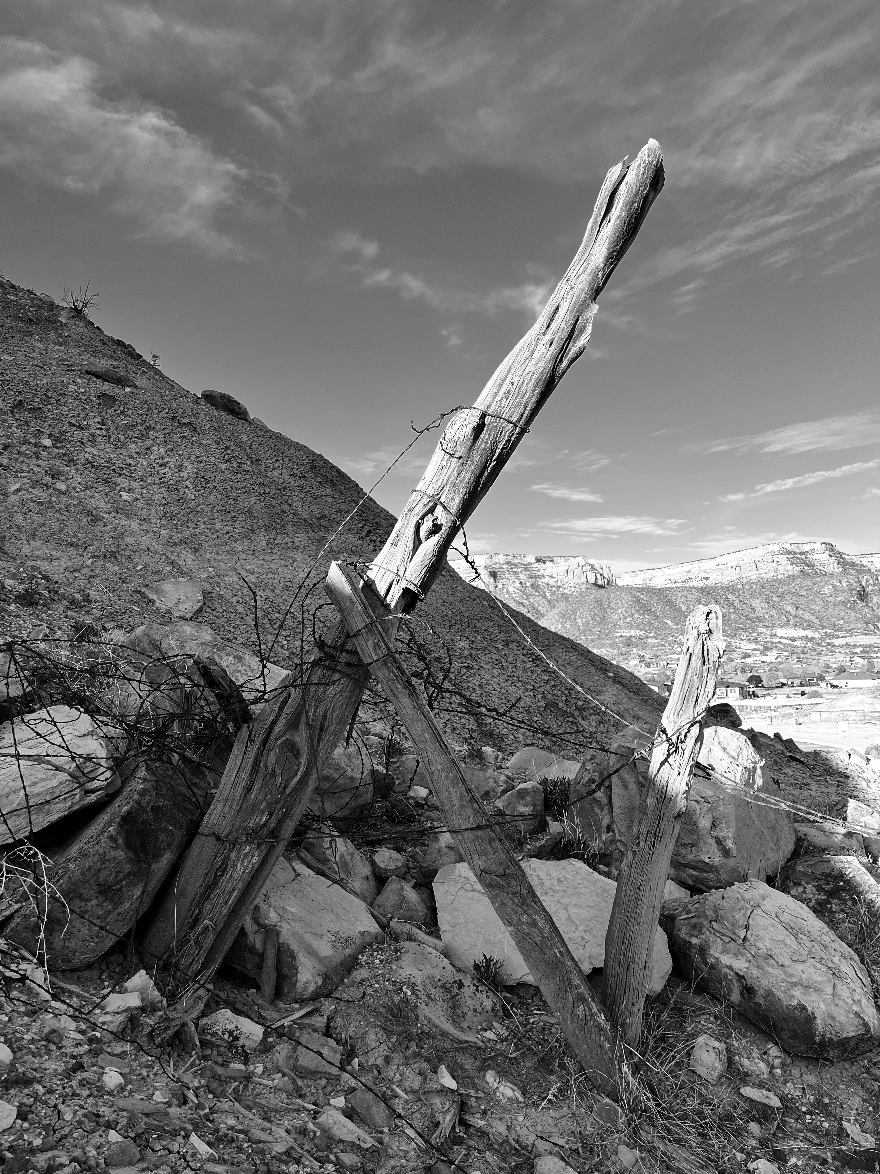 A humble fence post